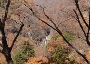 赤城山の山道を歩いている途中に見える不動大滝