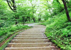 アプトの道廃線ハイキングコース