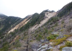 水ノ塔山 東篭ノ登山縦走ルートの稜線です