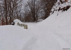 御荷鉾スーパー林道の雪