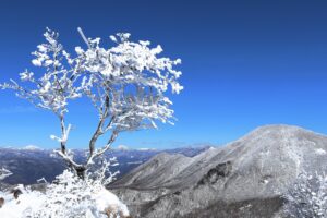 赤城山【雪山】美しき樹氷・冬の赤城山