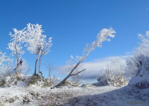 赤城山【雪山】美しき樹氷・黒檜山山頂付近の樹氷