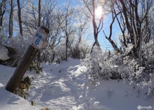 赤城山【雪山】美しき樹氷・黒檜山
