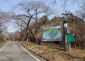赤城南面千本桜2022年3月の桜並木2022年3月
