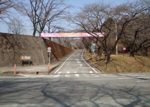 赤城南面千本桜の桜のトンネルが出来る桜並木2022年3月