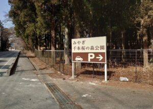 赤城南面千本桜に隣接するみやぎ千本桜の森公園2022年3月