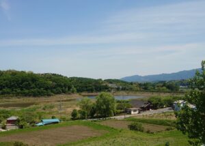 ひまわり畑【2022】群馬・丹生の丘のひまわり畑から見る丹生湖