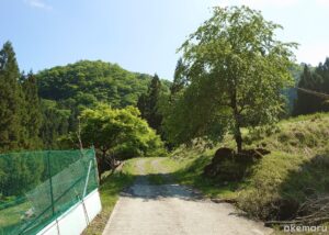 高立集落から高立一本岩【矢川峠】への山道ルート