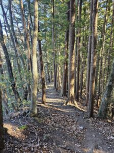 小鹿野アルプス登山道