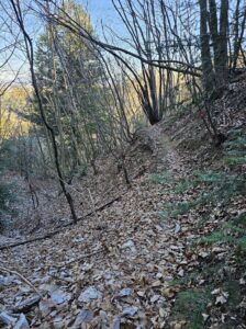 小鹿野アルプス下山道